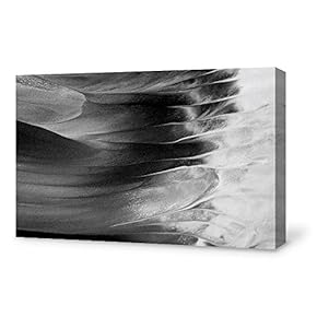signwin Canvas Wall Art Modern Abstract Art Canvas...