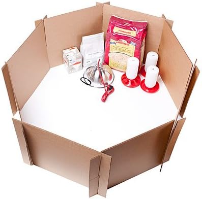 My Pet Chicken Complete Baby Chick Starter Kit