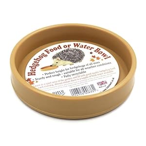 Hatchwell Hedgehog Bowl for Food or Water, 200 g, orange