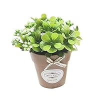 duotanyi 1Pc Artificial Flower Berry Ceramic Pot Bonsai Stage Garden Wedding Party Decor Green