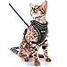SCIROKKO Cat Harness and Leash Set - Escape Proof Adjustable Puppy Harness for Outdoor with Reflective Strap, Soft Mesh with Metal Clip Cat Walking Jacket for Kitten Rabbit