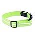 Blazin Light Up Dog Collar - The Original LED Dog Collar - USB Rechargeable - Waterproof - 1,000 Feet of Visibility - Dog Collar Light for Small, Medium, Large Dogs - USA Brand
