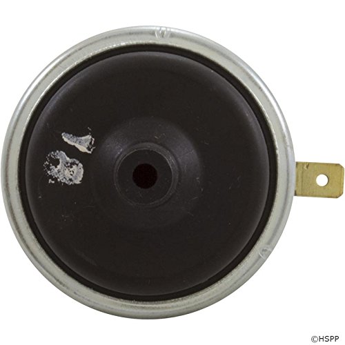 Raypak Pressure Switch, Versa/Gemini/RP2100