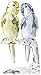 Swarovski Crystal Budgies Figurine