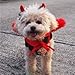 Legendog Cat Costume Halloween Pet Costumes Red Velvet Pet Cape with Hat Pet Apparel for Small Dogs and Cats (Cape & Horn & Hat) (Halloween Cape)
