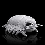 ZHONGXIN MADE Isopod Plush - Lifelike 12” Isopod
