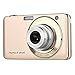 PowerLead PLDH17 2.7 Inch TFT 5X Optical Zoom 15MP 1280 X 720 HD Anti-shake Smile Capture Digital Video Camera(Gold)