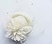 Cizoe Fascinator Hair Clip Pillbox Hat Bowler Feather Flower Veil Wedding Party Hat Tea Hat (1-Beige)