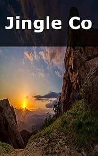 Livro Jingle Co