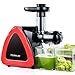 Juicer Machines, HOMEVER Slow Masticating Juicer for Fruits and Vegetables, Quiet Motor, Reverse Function, Easy to Clean Hight Nutrient Cold Press Juicer Machine with Juice Cup & Brush, BPA-Free