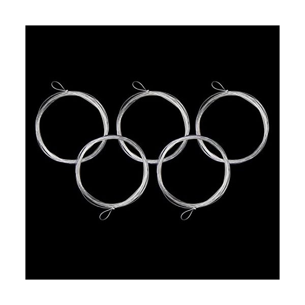 AnglerDream-Fly-Fishing-Tapered-Leader-Line-with-Loop-9FT-2X-6X-5-Pack-Clear