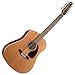 Seagull Coastline S12 Cedar Guitar