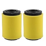 Harbot (Pack of 2 796031 797704 Air Filter for Briggs & Stratton 591334 594201 5428 5421 John Deere GY21435 MIU13038 MIU13963 LA105 LA115 Lawn Mower