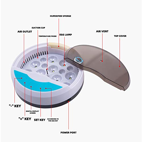 Vollautomatische Inkubator, Brutmaschine, Hühner Motorbrüter mit digitaler Präzieser Temperatur- und… – Bild 6