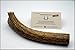 Vsezund Antler Dog Chews - Extra Large