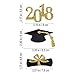 BESTONZON 48pcs Graduation Cupcake Toppers 2018 Graduation Party Decorations Cake Topper Picks Toothpick Toppers