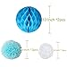 Litaus Frozen Theme White and Blue Party Decorations for Girls, Balloons, Pom Poms Flowers, Birthday Banner, Paper Garland, Tassels for 1st Birthday Girl Decorations Kids Birthday
