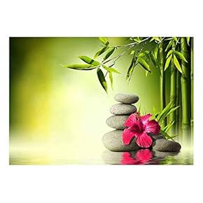 Rocks and a Hibiscus Flower Over a Lake Next to Bamboo Trees - Wall Mural, Removable Sticker, Home Decor - 66x96 inches