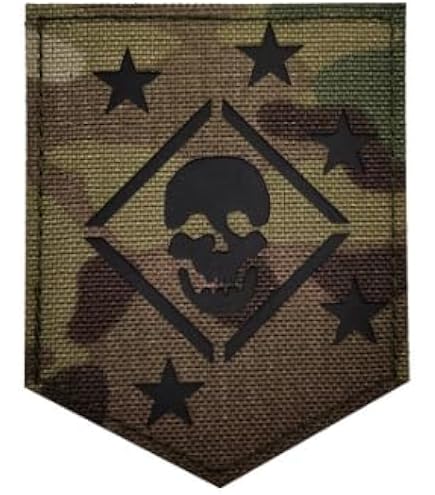 Amazon.com: MARSOC Raiders Marines Embroidery Patch Armband Badge