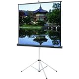 Picture King Portable Projection Screen Viewing