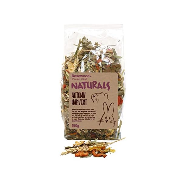Rosewood-Naturals-Small-Animal-Treats-Autumn-Harvest-150-g Rosewood Naturals Autumn Harvest, Rabbit Treats & Small Animal Treats, 150g