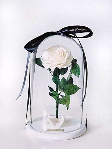 Beauty and The Beast rose, %100 Real Rose that will last up to 3 years, Preserved flowers, Enchanted rose, Rternal rose, Mother's Day, Engagement gift, Hot Gift Item 2018