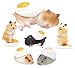 Kitan Club Hamster 'N Egg Plastic Toy - Blind Box Includes 1 of 6 Collectable Figurines - Fun, Versatile Decoration - Authentic Japanese Design - Made from Durable Plastic