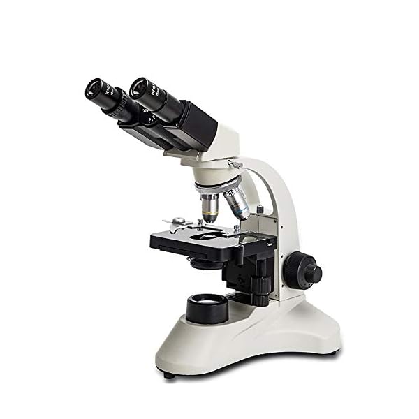 QuRong Professionelles Biologisches Mikroskop für die Wasserqualität für die Reparatur von Leiterplatten 38X24X21cm weiß