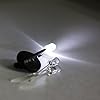 Line-Light-Fishing