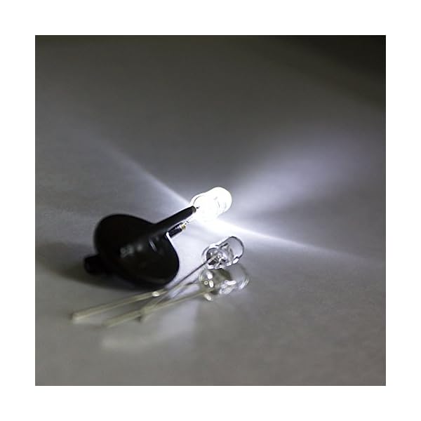 Line-Light-Fishing