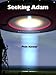 Seeking Adam (Galactic Redemption Book 1) by 