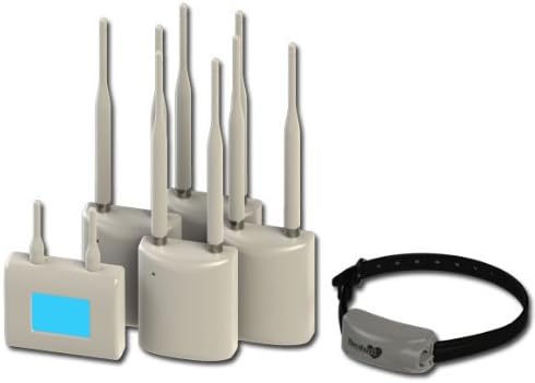 blue heeler accessories