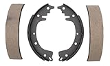 Raybestos 40PG Professional Grade Drum Brake Shoe Set