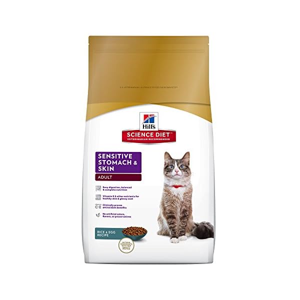 science diet egg and rice