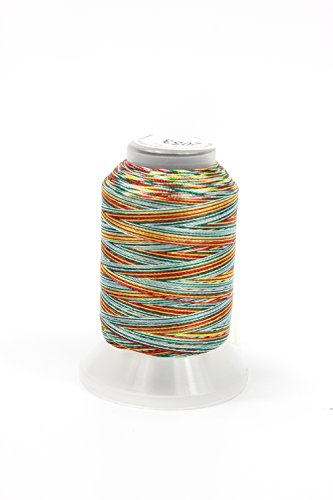 Embroidex 24 Spools Variegated Embroidery Machine Thread