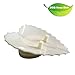 DGQ White Soap Dish Soap Savers Free Drip Leaf Shape Shower Soap Holders for Sink Lavabo Bathroom Vanity