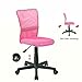 EuroStile Desk Chair Mid-Back Adjustable Mesh Chair Ergonomic Swivel Computer Office Chair 8252S(Pink)