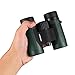 Wingspan Optics Pioneer 8X32 Compact Binoculars for Bird Watching. Wide View for Hours of Bright, Clear Birding. Lightweight and Durable. Great for Outdoor Sports Games and Concerts