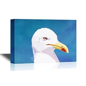 Closeup of a White Seagull