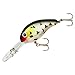 Bandit Crank 300-Series 2-Inch Mad Cow 8 to 12-Feet Deep Bait (White)