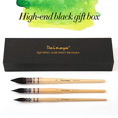 Dainayw Professional Watercolor Paint Brushes, Round Squirrel Hair Paint Brush Set for Art