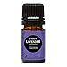 French Lavender 100% Pure Therapeutic Grade Essential Oil by Edens Garden- 5 ml