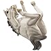 Drinking White Stallion Wine Bottle Display Stand Holder in Decorative Equine, Pony and Horse Statues and Sculptures for Rustic Country Western Bar Wine Racks & Stud Farm Kitchen Decor As Gifts for Horse Lovers