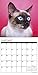 Siamese Cats 2017 Wall Calendar