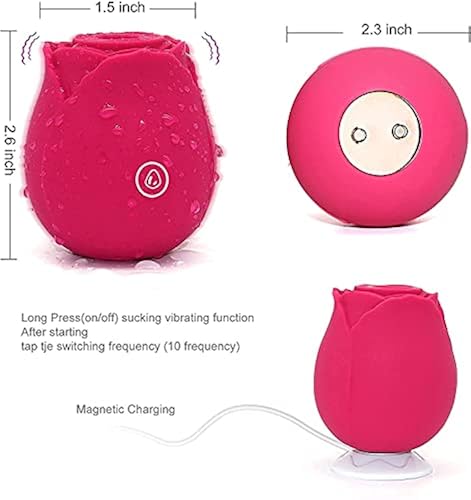 rose toy 2.0 CanGonggg Valentine's Day Singing And Dancing Charging Rose Flower Toy  Toddler Toys Toys For Ages 2-4 Kids Toys Toddler Toys 2-3 Baby Book main image 1