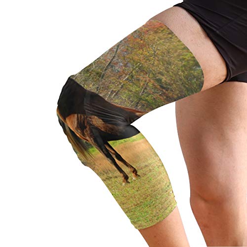 Chu warm Knee Sleeve Pin Horses and Autumn Full Leg Brace Compression Long Sleeves Pads for Meniscus Tear, Arthritis, Running, Workout, Basketball, Sports, Men and Women 1 Pair