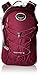 Osprey Packs Women's Skimmer 16 Hydration Pack, Plume Purple