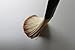Hansderma Skinsoft Facial Mask Brush, Charming Brush