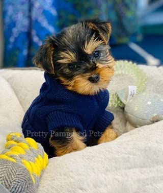 Small Chihuahua Puppy Dog Coat - Knit Jumper, Cosy Teacup Mini Breed Size (Navy)