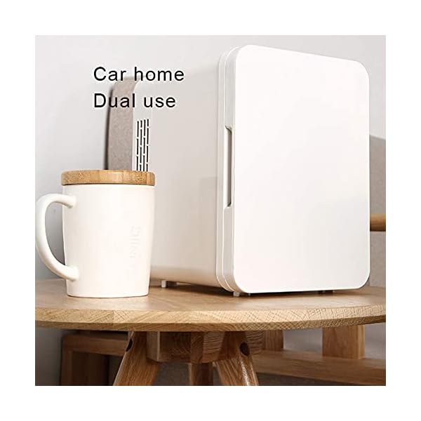 YANJ Portable Mini Fridge 12v 220v,Electric Cool Box Car refrigerator,CNC Display Hot And Cold Dual Energy Mute Design LOLDF1